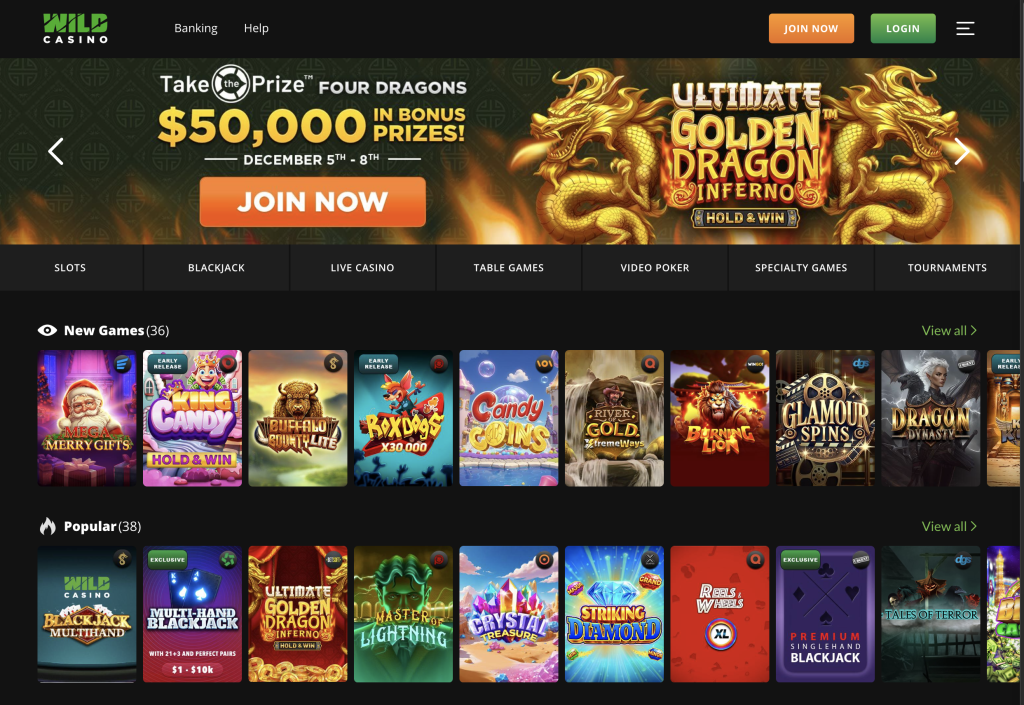 Wild Casino Website